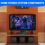 Bluetooth 5.0 Stereo Amplifier with Multi-Input Support