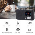 Ocean Digital WR-23F Portable Wi-Fi FM Radio