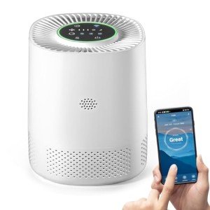 Smart WiFi Air Purifier with App Control