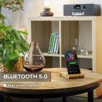 Audizio Naples DAB Radio with Bluetooth & CD Player