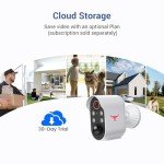 1080p Wireless Security Camera with AI Detection