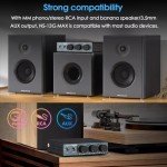 Nobsound HiFi Mini 2-Channel Stereo Amplifier 300W