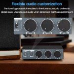 Nobsound HiFi Mini 2-Channel Stereo Amplifier 300W