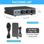 Nobsound HiFi Mini 2-Channel Stereo Amplifier 300W