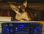 S-288 Bluetooth Power Amplifier with Hi-Fi Speakers