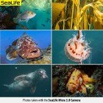 Sealife Micro 3.0 Pro Duo 5000 Action Camera