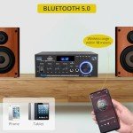 Prozor Bluetooth 2.0 HiFi Amplifier with Remote