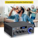 Prozor Bluetooth 2.0 HiFi Amplifier with Remote