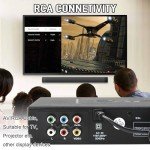 Ruiqas USB Multifunction DVD Player for TV