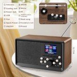 Portable Bluetooth DAB+ FM Dual Alarm Radio