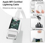 20W Fast Charger Plug & Cable for iPhone