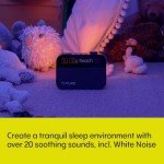Bluetooth Wake-Up Light Clock Radio & Speaker
