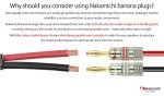 Nakamichi 24k Gold Banana Plugs for Audio Connections