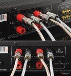Nakamichi 24k Gold Banana Plugs for Audio Connections