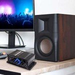 12V HiFi Stereo 2-Channel Power Amplifier