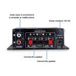 12V HiFi Stereo 2-Channel Power Amplifier
