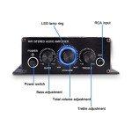 12V HiFi Stereo 2-Channel Power Amplifier