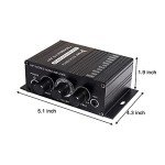 12V HiFi Stereo 2-Channel Power Amplifier