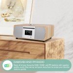 LEMEGA M5P Multi-Function DAB Radio and Speaker