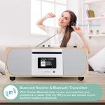 LEMEGA M5P Multi-Function DAB Radio and Speaker