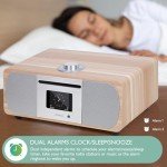 LEMEGA M5P Multi-Function DAB Radio and Speaker