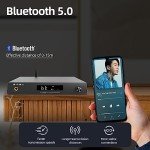 SMSL AL200 Hi-Fi Stereo Amplifier with Remote