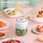 Portable Electric Mini Food Chopper and Blender