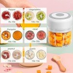 Portable Electric Mini Food Chopper and Blender