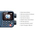 Choyong A8W Portable Smart WiFi/4G Radio Speaker