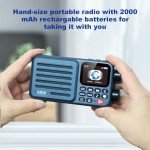 Choyong A8W Portable Smart WiFi/4G Radio Speaker