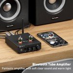 Fosi Audio T20X Bluetooth Tube Amplifier for Home Speakers