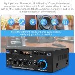 Bluetooth Car Amp with HiFi Sound & Remote