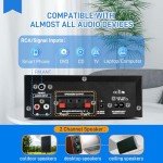 Bluetooth Car Amp with HiFi Sound & Remote
