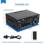 Bluetooth Car Amp with HiFi Sound & Remote