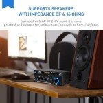Bluetooth Car Amp with HiFi Sound & Remote