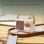 Beige Retro Bluetooth Speaker for All Ages