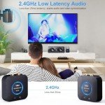 1Mii Low Delay Wireless Audio Adapter Set