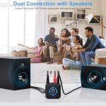 1Mii Low Delay Wireless Audio Adapter Set