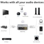 WiiM Amp: Multiroom Streaming Amplifier with Voice Control