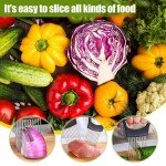Stainless Steel Vegetable Slicer and Holder Tool