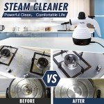 GLOIL Portable Multi-Purpose Steam Cleaner with Accessories