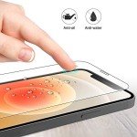 Dual Pack Tempered Glass Screen Protector for iPhone 12