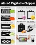 Multifunctional Kitchen Vegetable Chopper and Slicer