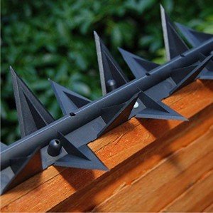 Stegastrip® Garden Wall Spikes for Security