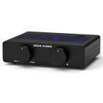 Compact 300W TPA3255 Stereo Amplifier for Speakers