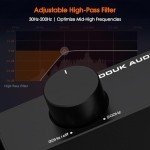 Compact 300W TPA3255 Stereo Amplifier for Speakers