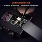 Compact 300W TPA3255 Stereo Amplifier for Speakers