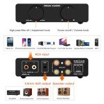Compact 300W TPA3255 Stereo Amplifier for Speakers