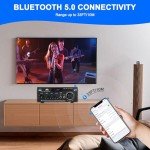 Bluetooth HiFi Audio Amplifier with Remote Control