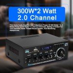 Bluetooth HiFi Audio Amplifier with Remote Control